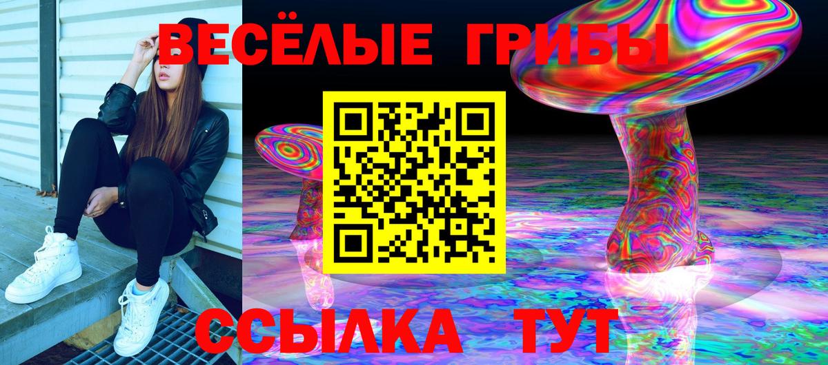 APVP СК кристаллы  Меф МЯУ МЯУ   Cocaine  Светлоград  МАРИХУАНА  Вход с VPN  Кетамин  Магазин наркотиков  Гашиш  Гашиш 